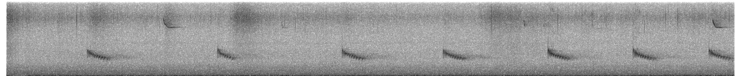 Carolina Wren - ML650200055