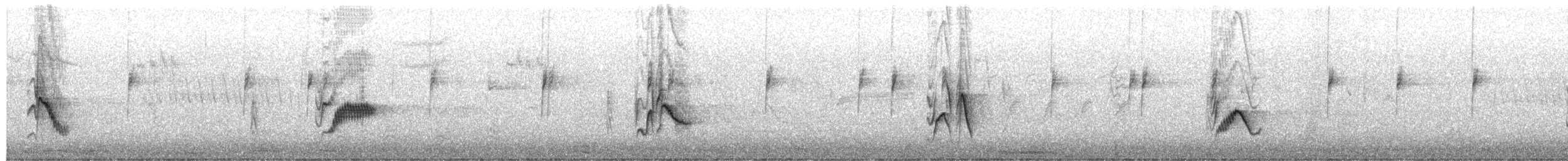 Cassin's Vireo - ML650200362