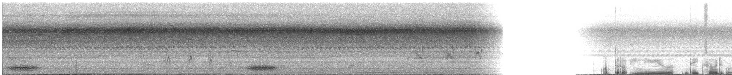 אנפית-גמדית אמריקנית - ML65021591
