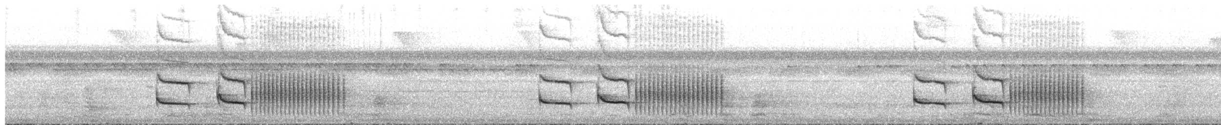 Eastern Woodhaunter - ML650219095