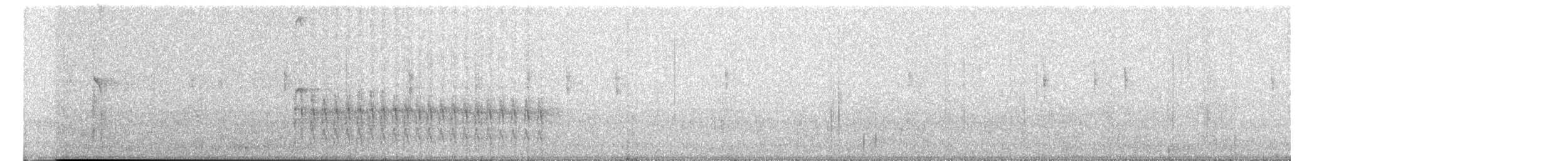 Pico Velloso (orius/icastus) - ML650221050