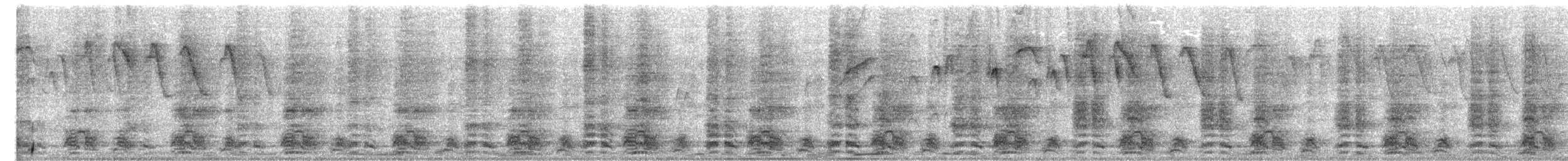 カワリヒメシャクケイ - ML650222063