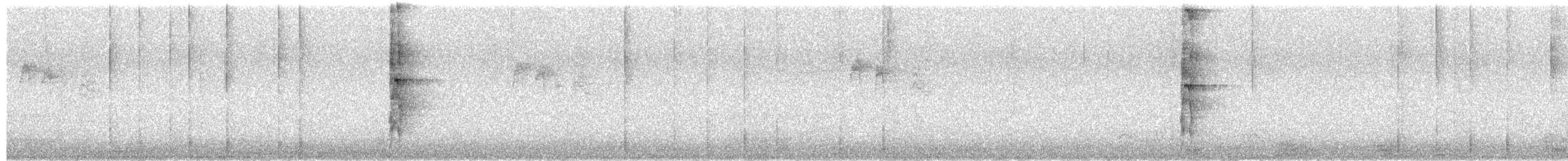 Pico Velloso (grupo harrisi) - ML650223502