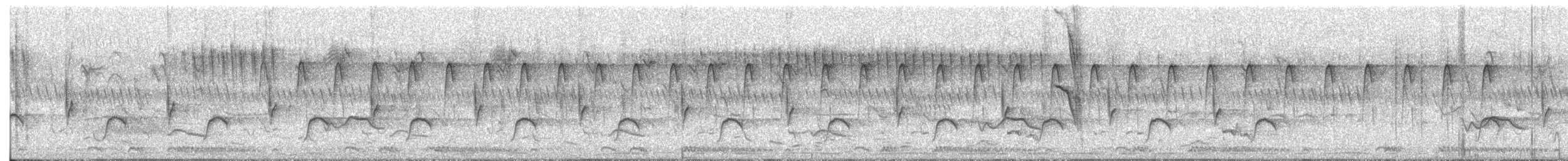 Кубла строката - ML650235921