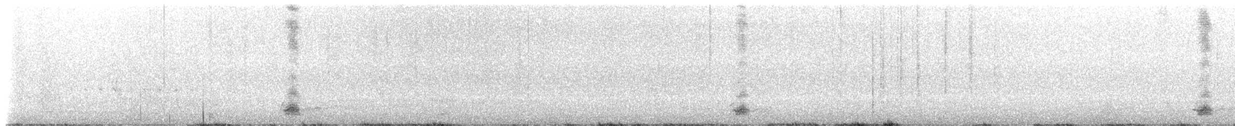 kukačka pacifická - ML650239056