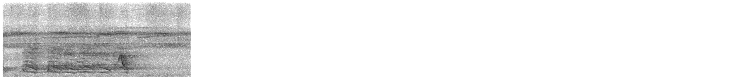 amazoňan pomoučený - ML650239351