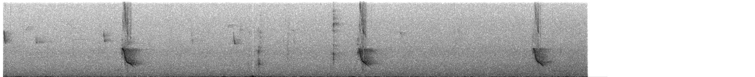 Кубла строката - ML650239566