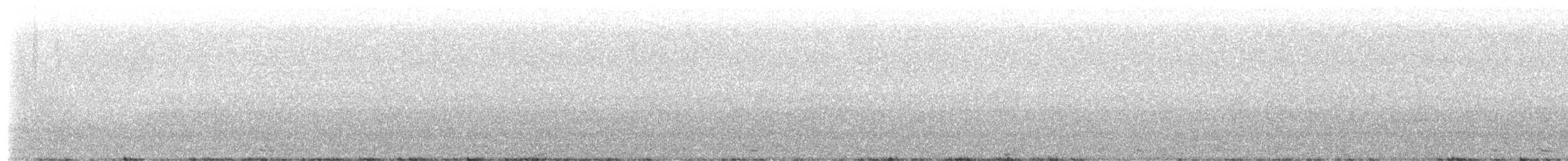 Doppelhornvogel - ML650240942