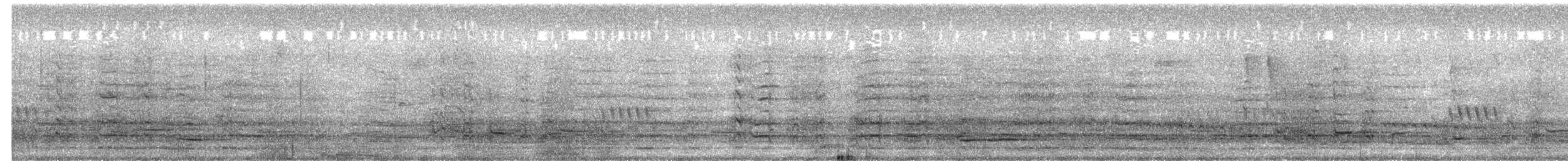 Verdugo Fuliginoso - ML650243559