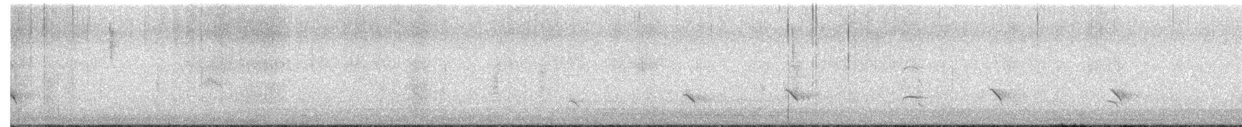 Balbuzard pêcheur (carolinensis) - ML650245903