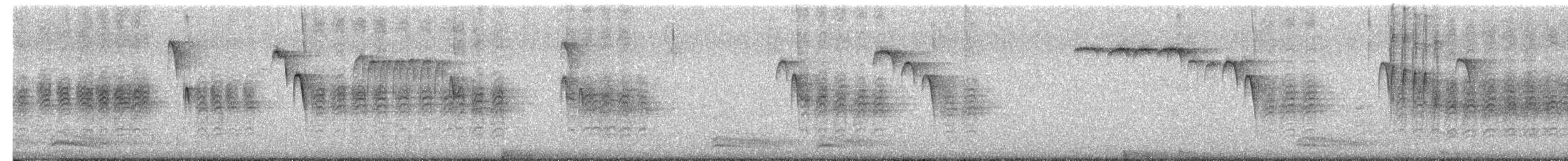 Carbonero de Carolina - ML650246610