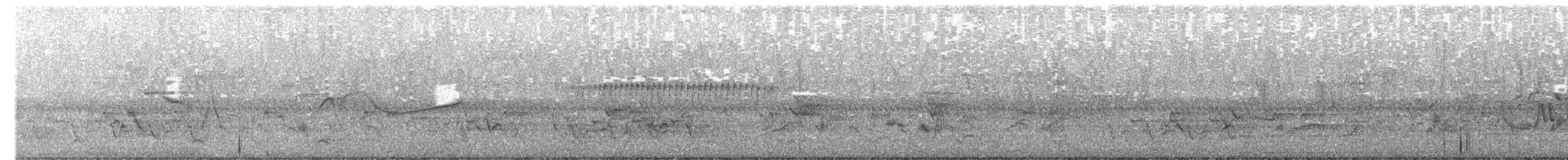 סבכון קנטקי - ML650250524