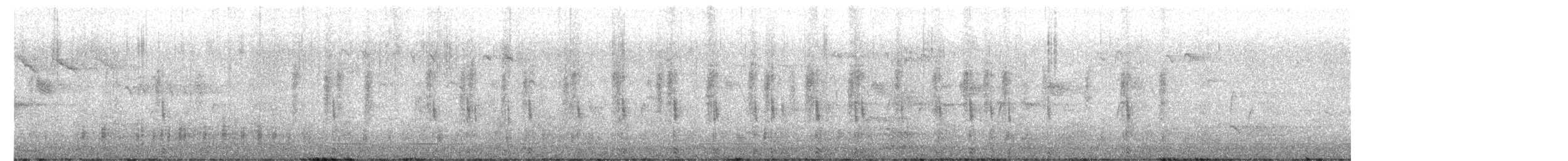 琵嘴鴨 - ML650251888