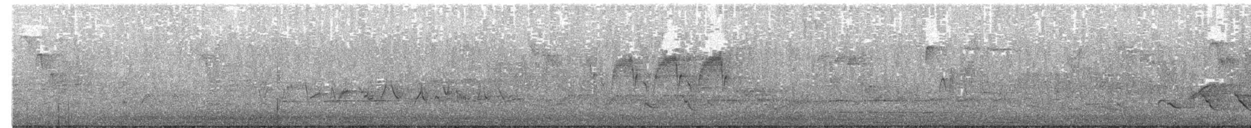 Northern Parula - ML650252494