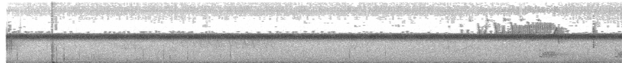 Northern Parula - ML650253712