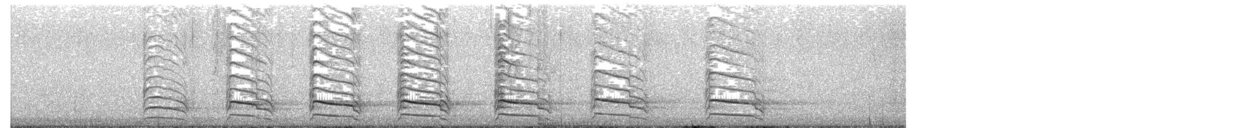 Red-shouldered Hawk - ML650255546