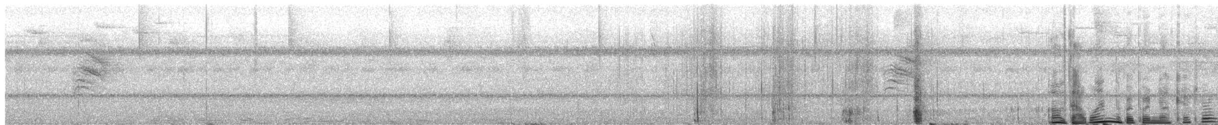 White-browed Gnatcatcher - ML650256742