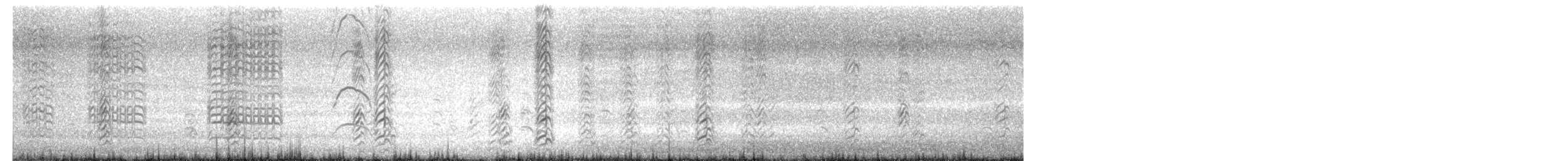 Black Skimmer - ML650259232