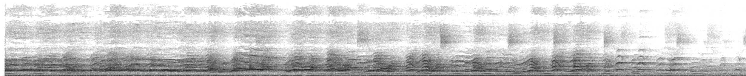 Coyote - ML650259547