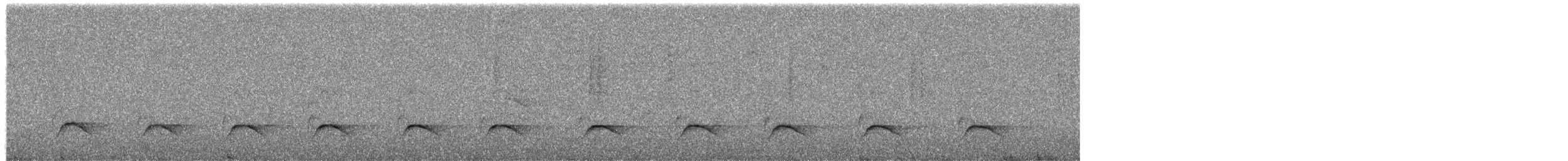 Кубла строката - ML650260827