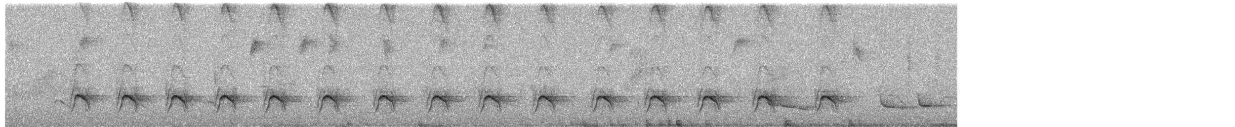 Кубла строката - ML650260828