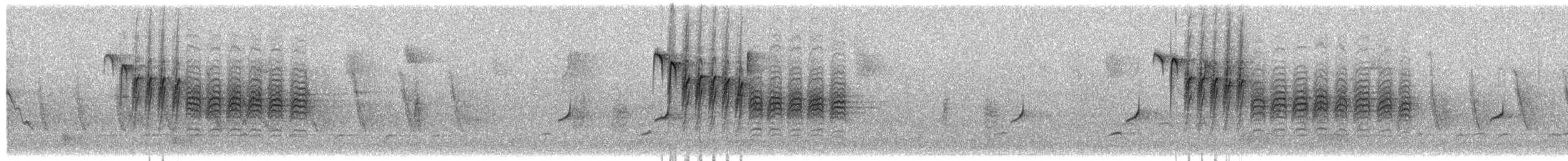 Carbonero de Carolina - ML650265120