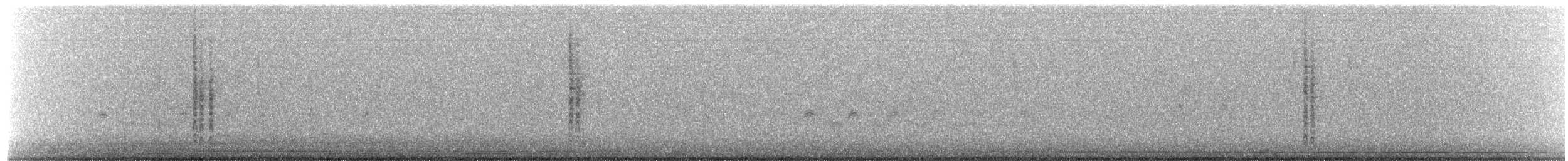 Roitelet à couronne rubis - ML650270102