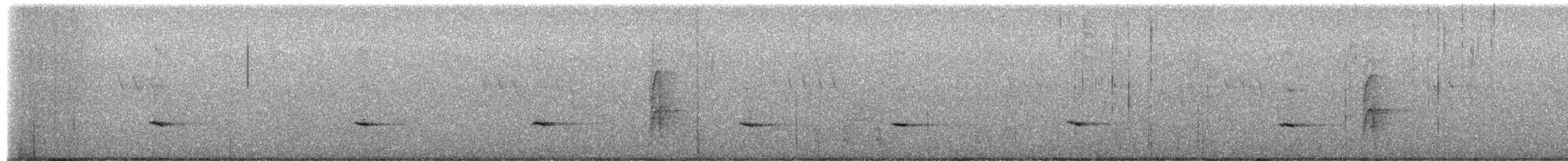 Townsend's Solitaire - ML650271445