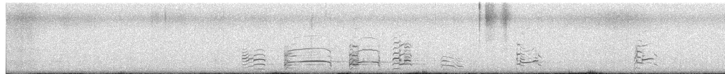 クロワカモメ - ML650283323