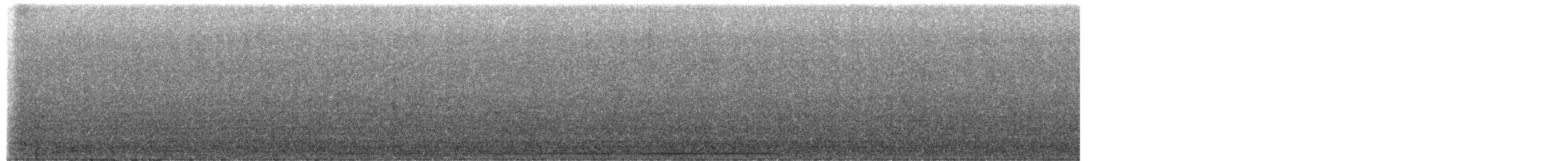 Râle ponctué - ML650289483