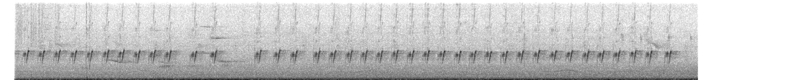 Plain Prinia - ML650298439