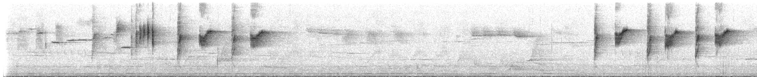 Spotted Scrubwren - ML650302518