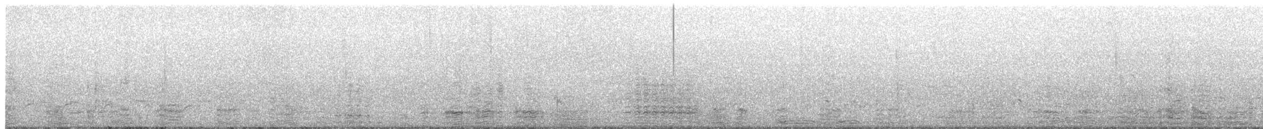 Great Cormorant (Eurasian) - ML650304361