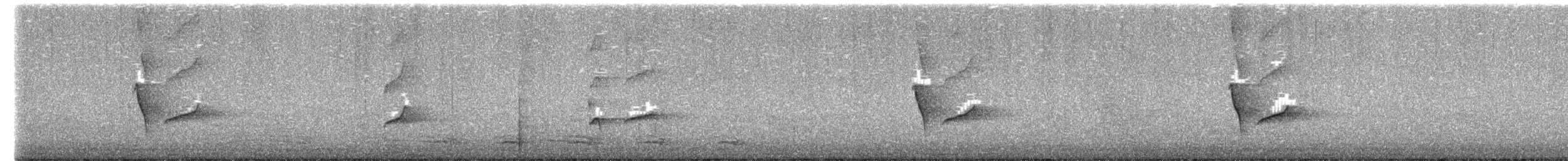 Hair-crested Drongo - ML650306223