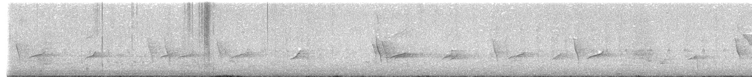 Hair-crested Drongo - ML650306224