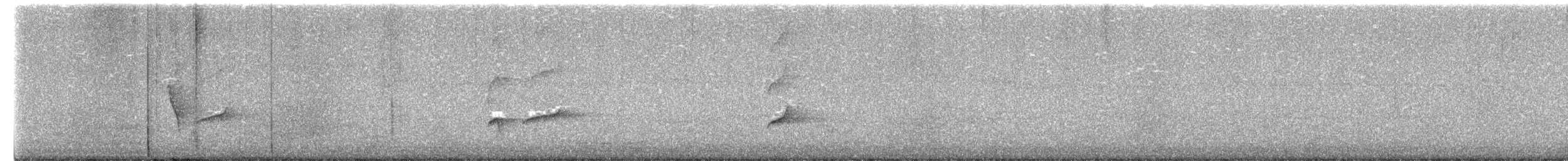 Hair-crested Drongo - ML650306225