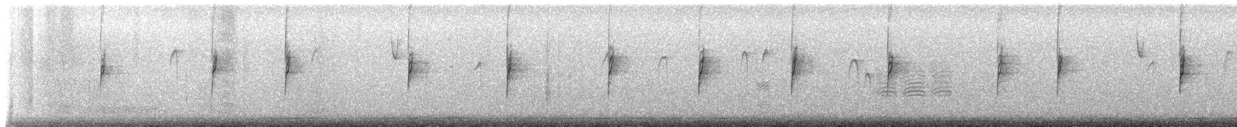 White-crowned Sparrow - ML650306254