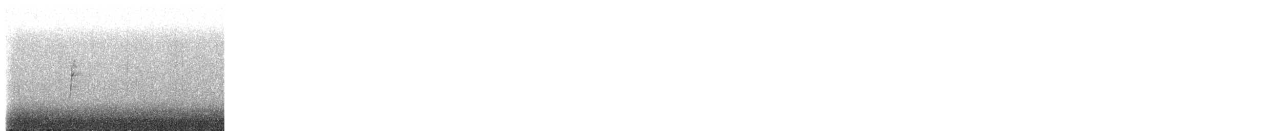 White-crowned Sparrow - ML650306313