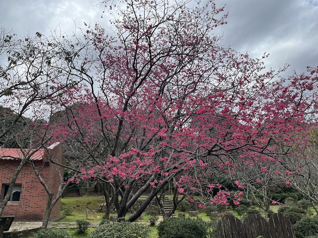 台北--陽明山花卉試驗中心(Taipei--YMS Flower Exp. Center), Taipei