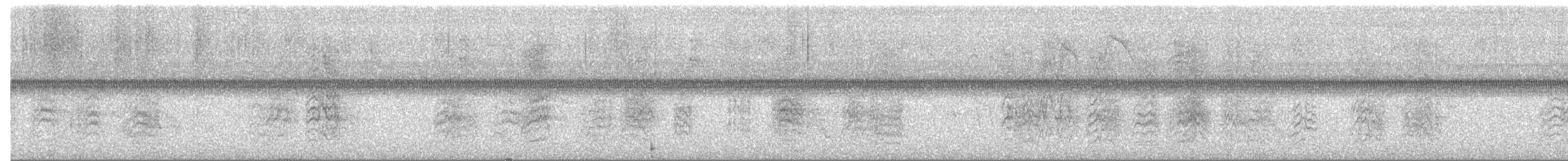 Scarlet-fronted Parakeet - ML650307640