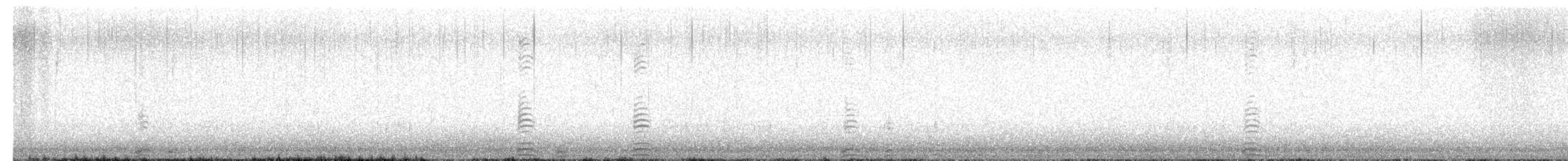 Trumpeter Swan - ML650308708