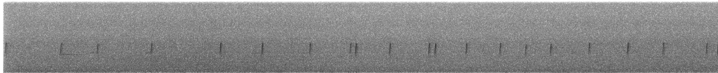 コシグロキンパラ - ML650310287