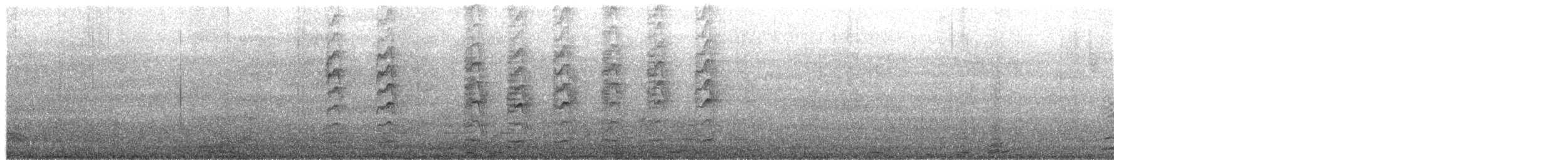 Gila Woodpecker - ML650312232