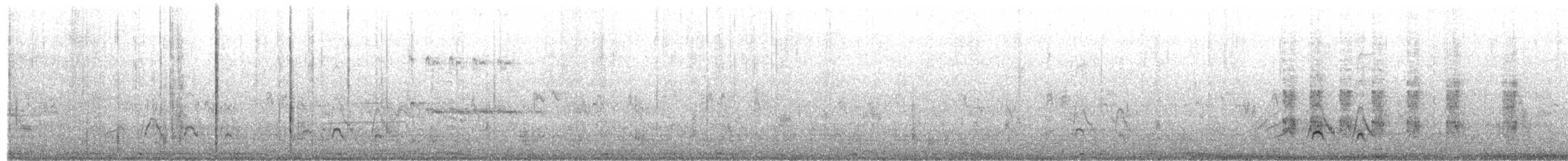 American Wigeon - ML650312278