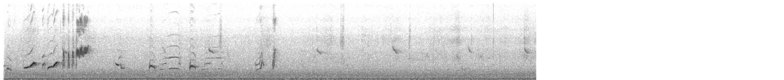 Curve-billed Thrasher - ML650312354