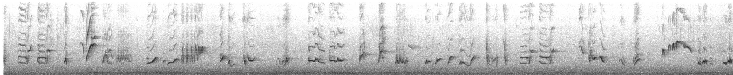 Curve-billed Thrasher - ML650312355