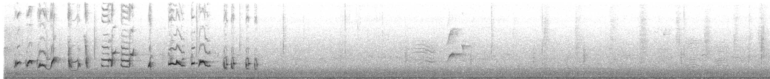 Curve-billed Thrasher - ML650312356