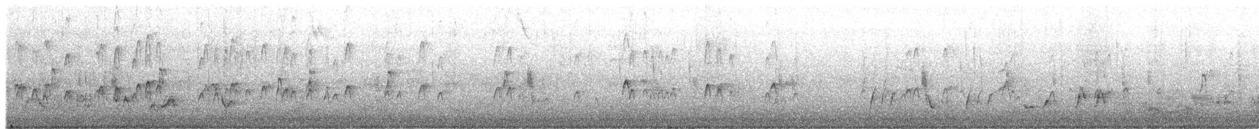 Long-billed Dowitcher - ML650312403