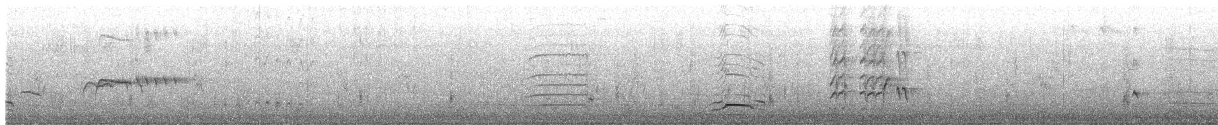 Gambel's Quail - ML650312434