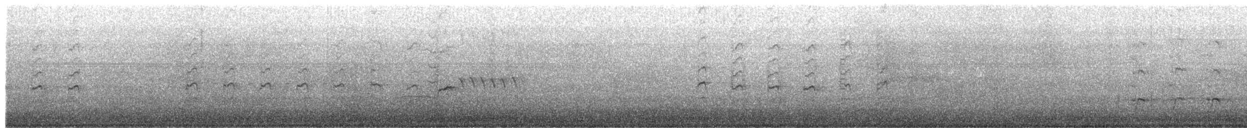 Gila Woodpecker - ML650312471